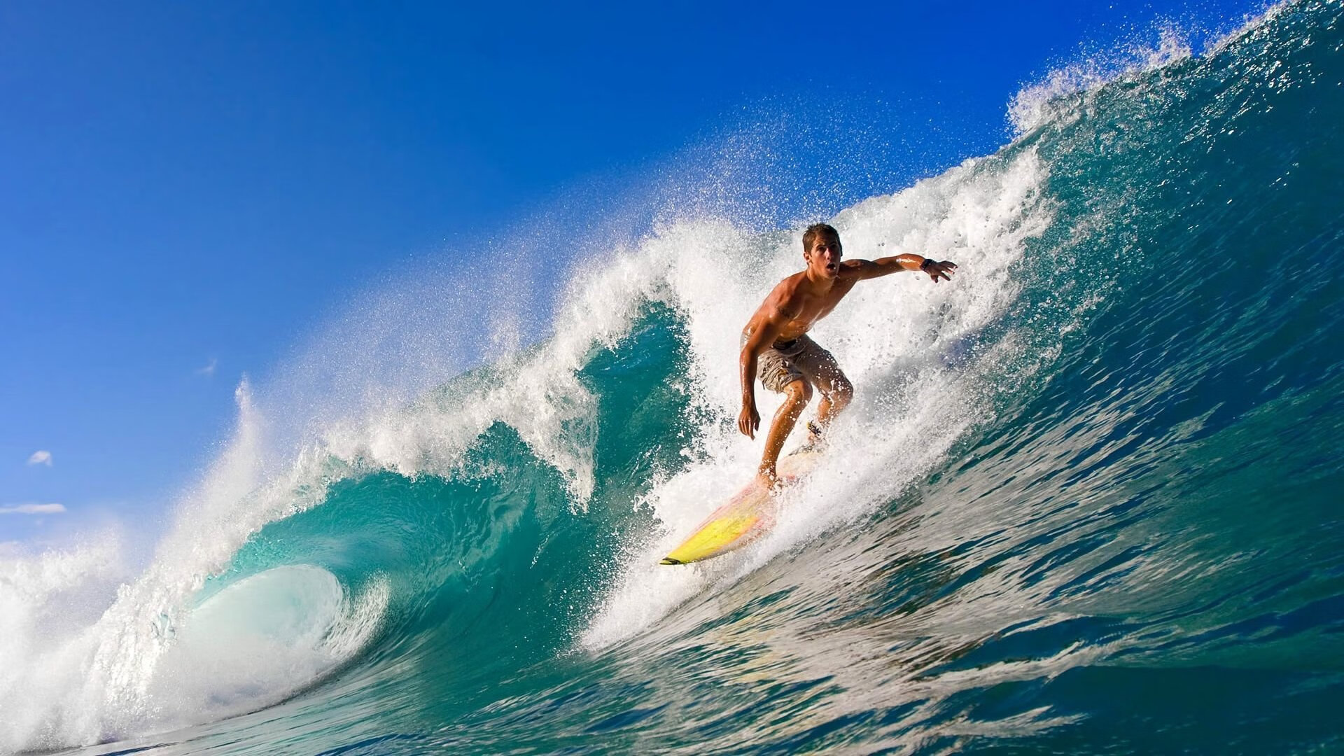 区块链交易：联盟新兴技术，打造公平、安全的交易环境，区块链联盟链有哪些